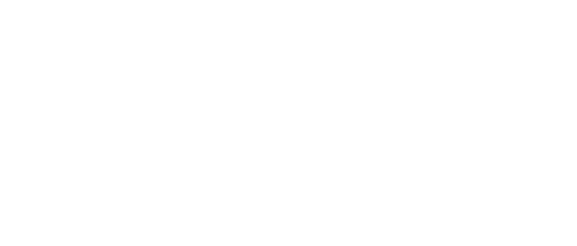 Toro - Sosa Lopez